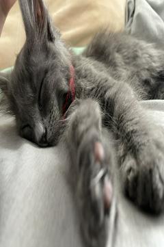 Over must feel.
